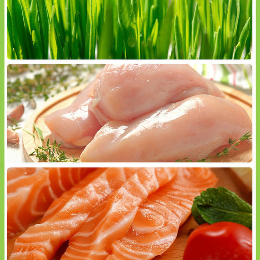 Gefriergetrocknete Katzengras- – Healthy Snacks Food Bewertung und Preis
